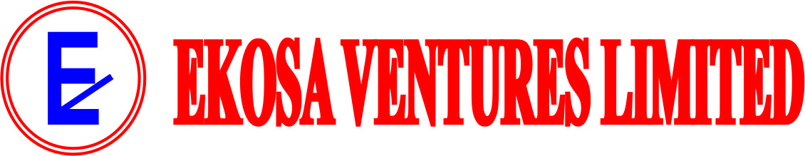 ekosaventureslimited.com.ng